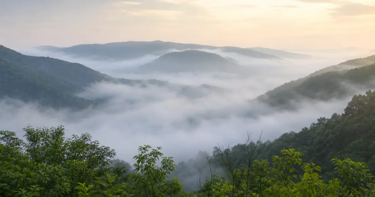 West Virginia mountain hollow at dawn representing rural opioid treatment access and recovery
